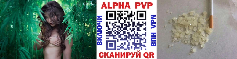А ПВП СК КРИС  закладка  Тверь 