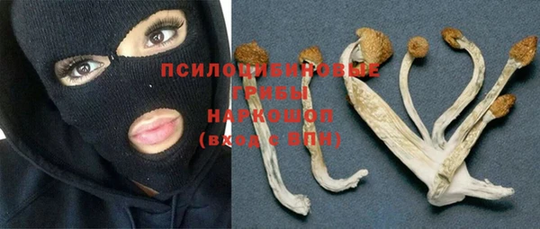 крисы Алзамай