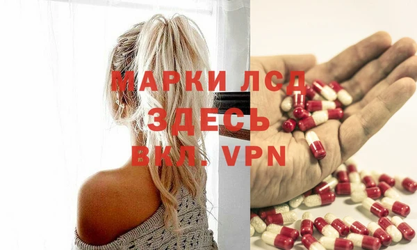гашик Алексеевка