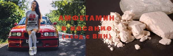гашик Алексеевка