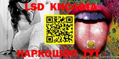 мдпв Камышлов