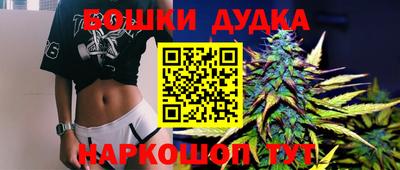 мдпв Камышлов