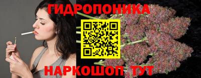 мдпв Камышлов