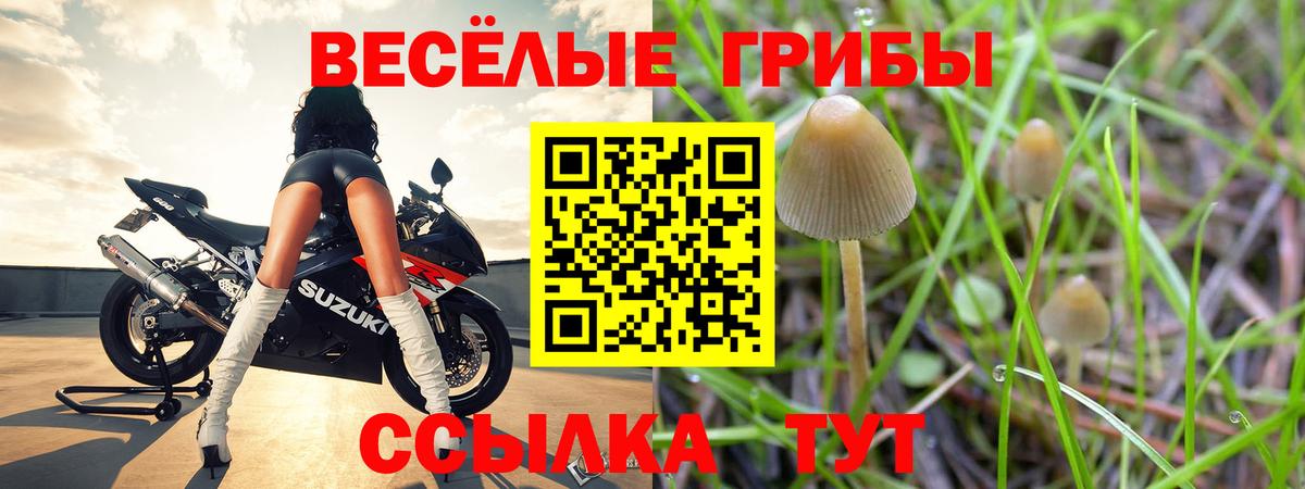 Тверь  Галлюциногенные грибы ЛСД  Вход с VPN 