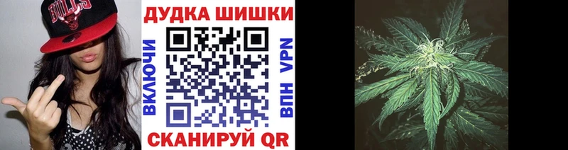Каннабис план цена наркотик Тверь